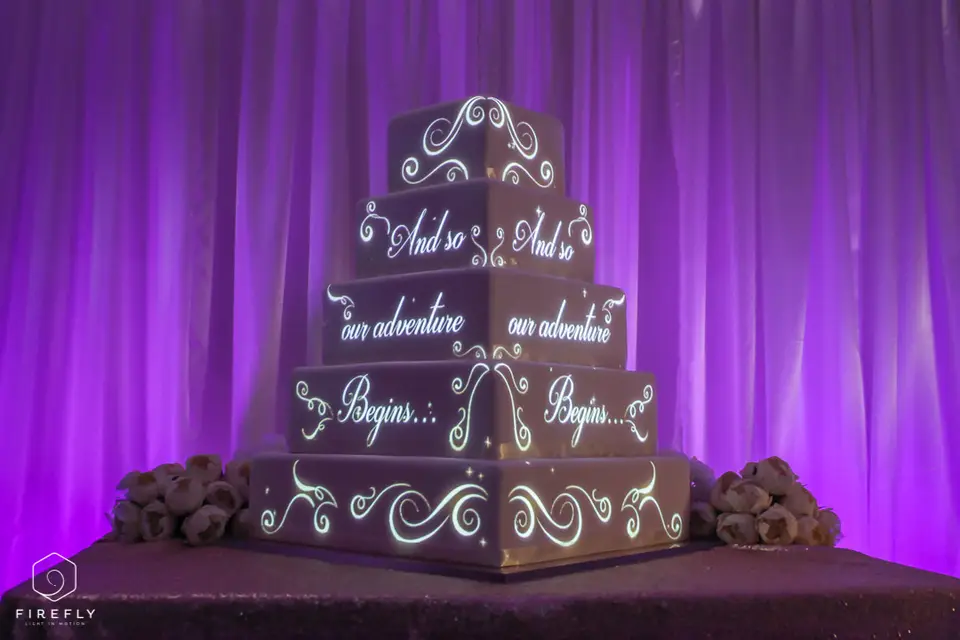 You Can Now Have a Light Show Projected on Your Disney Wedding Cake - This  Fairy Tale Life