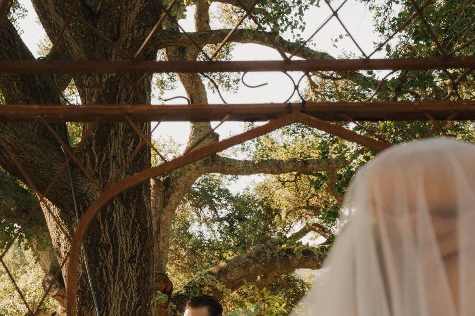 Lindsey&Jeremy