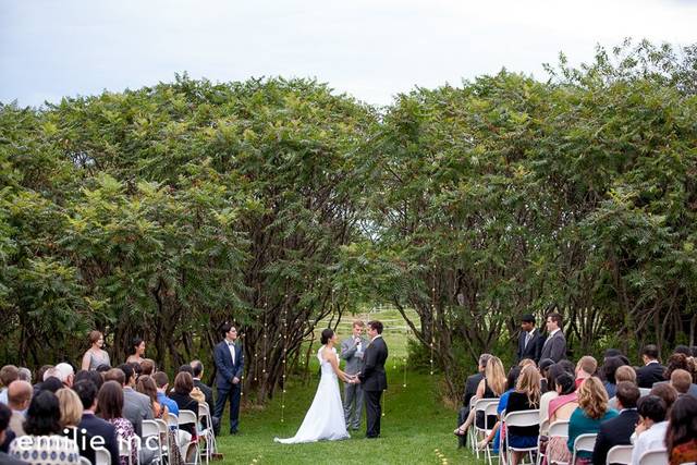 Park wedding store near me