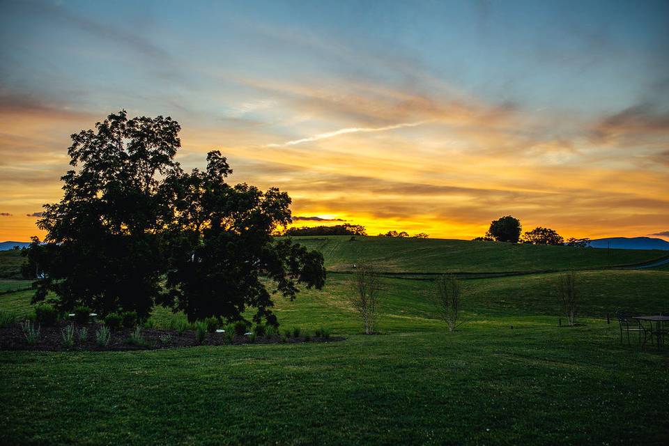 On Sunny Slope Farm