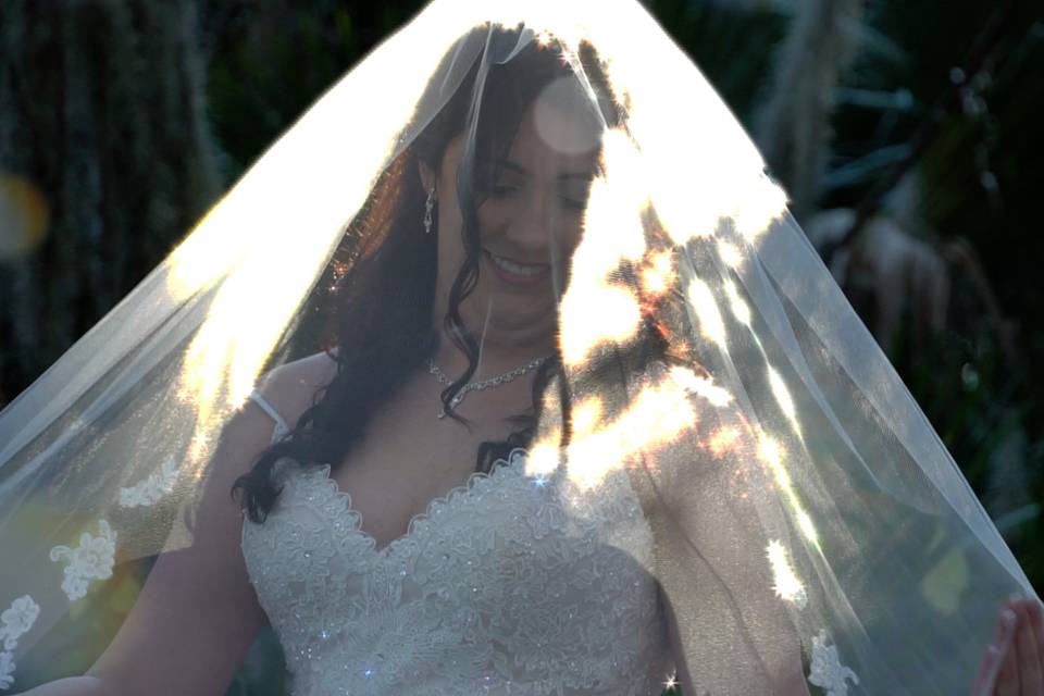 Bridal portrait