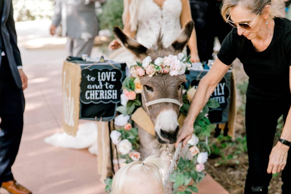 Beer Burro Wedding Addition