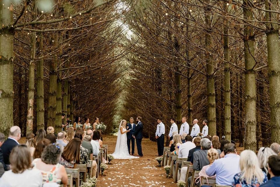 Ceremony in the Pines