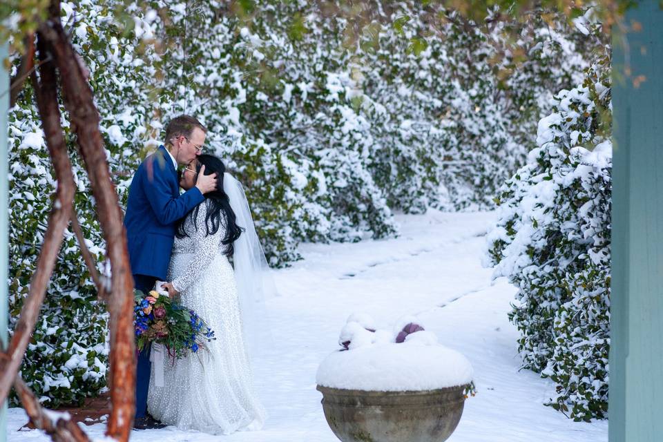 Winter Wonderland Wedding