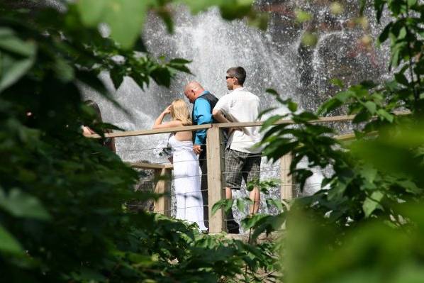 Wedding by a waterfall