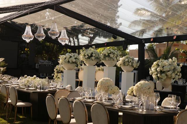 Elegant Wedding