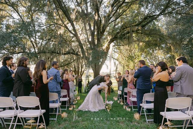Chapel Oak Canopy