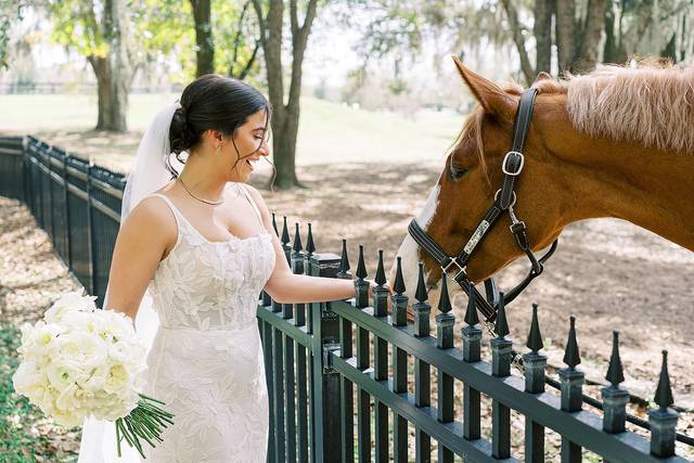 Equine Wedding Moments