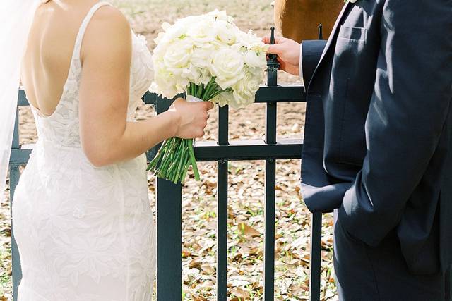 Equine Wedding Moments