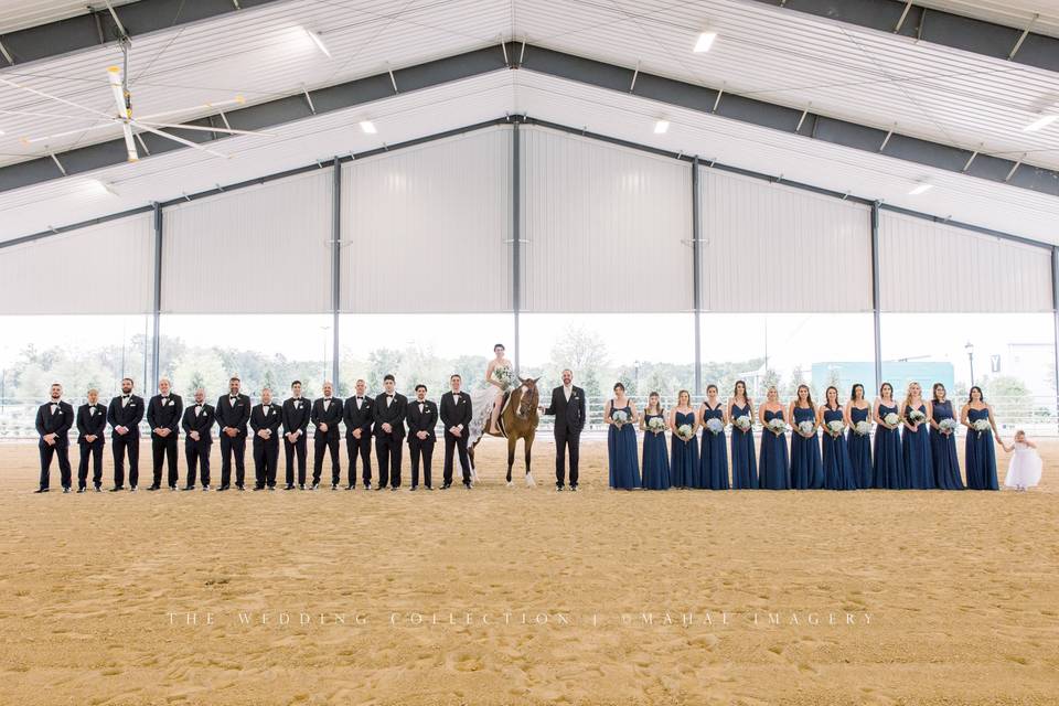 Bridal Party Equine