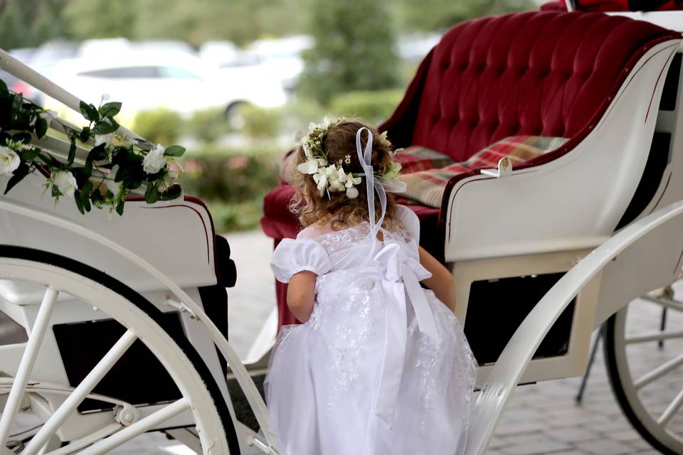 Bridal Carriage Ride