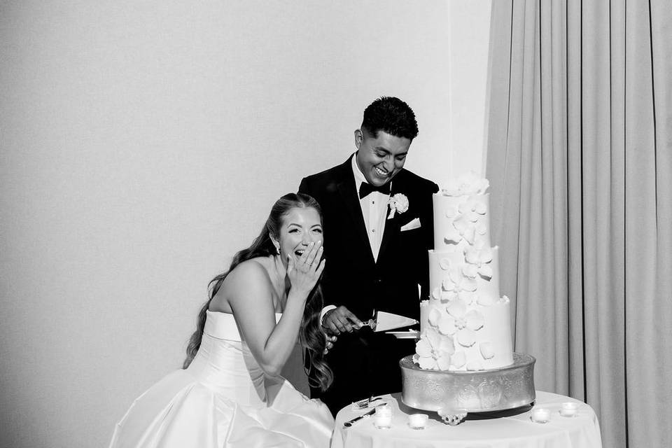 Cake Cutting Fun