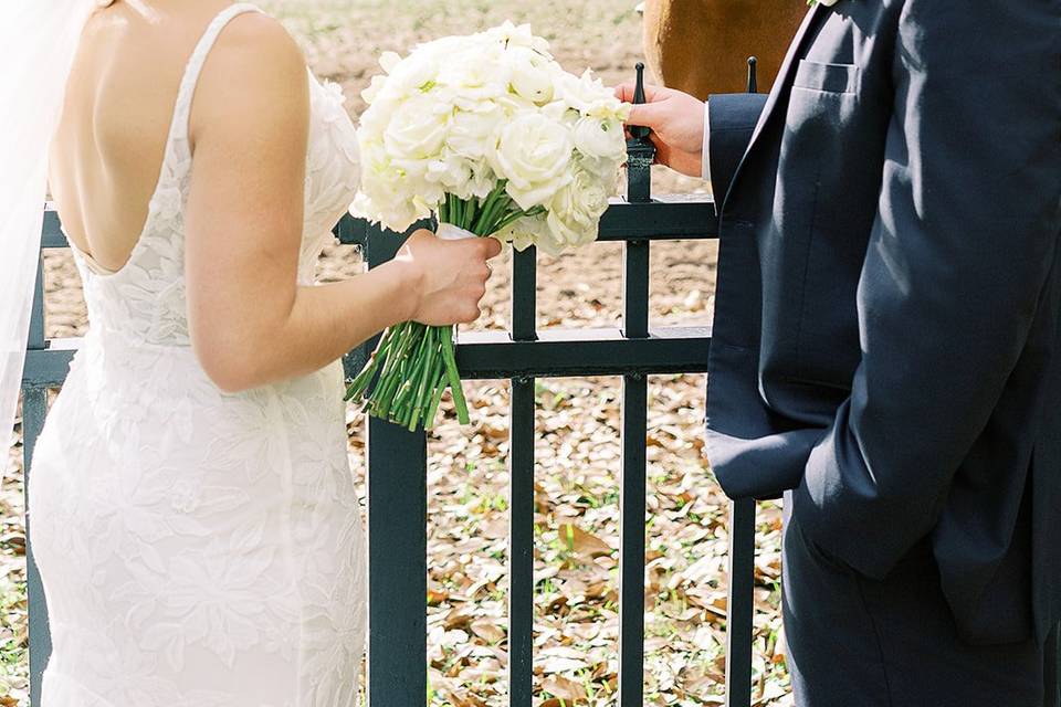 Equine Wedding Moments