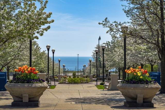 Outdoor space
