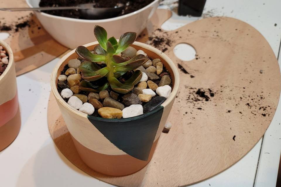 Succulent Potting Bar