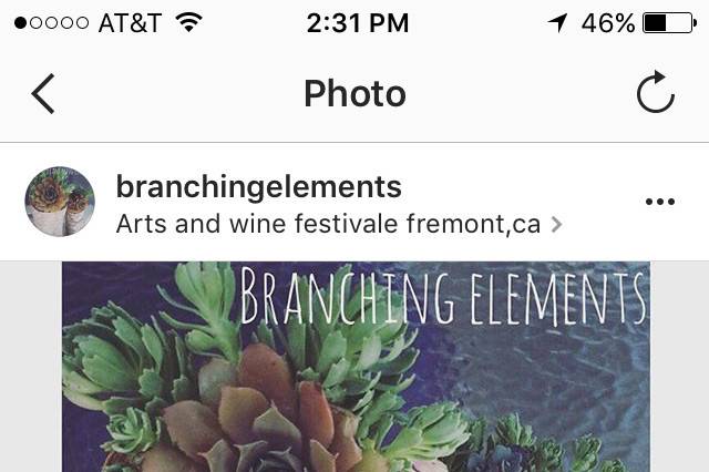 Branching Elements