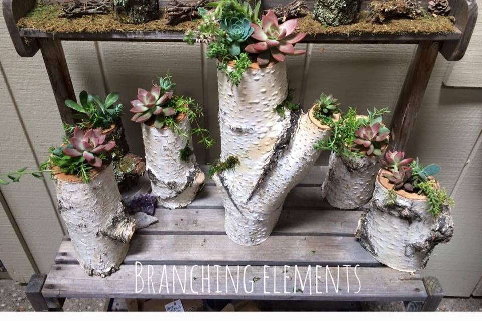 Branching Elements