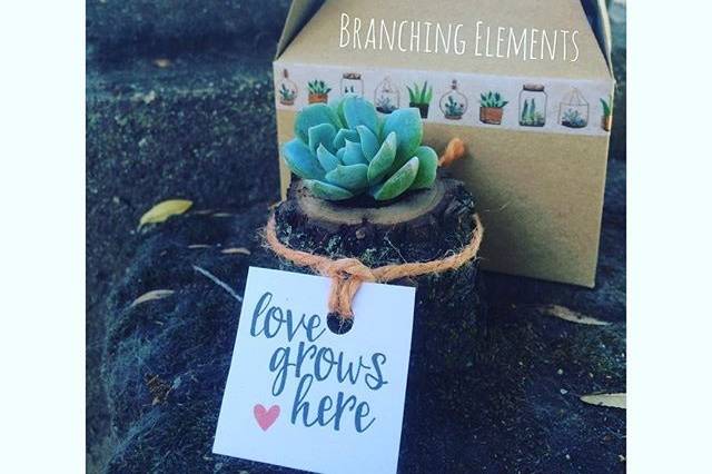 Branching Elements