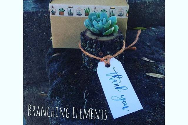 Branching Elements