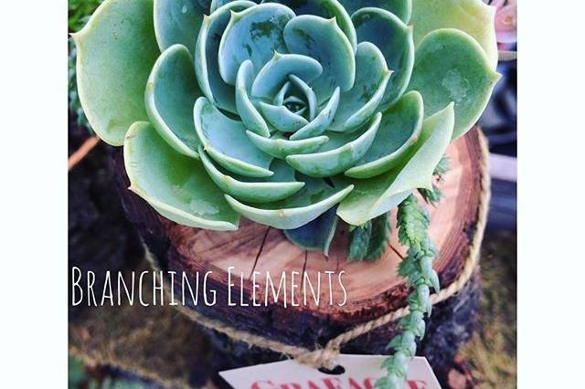 Rustic Succulent planters are perfect table decor.