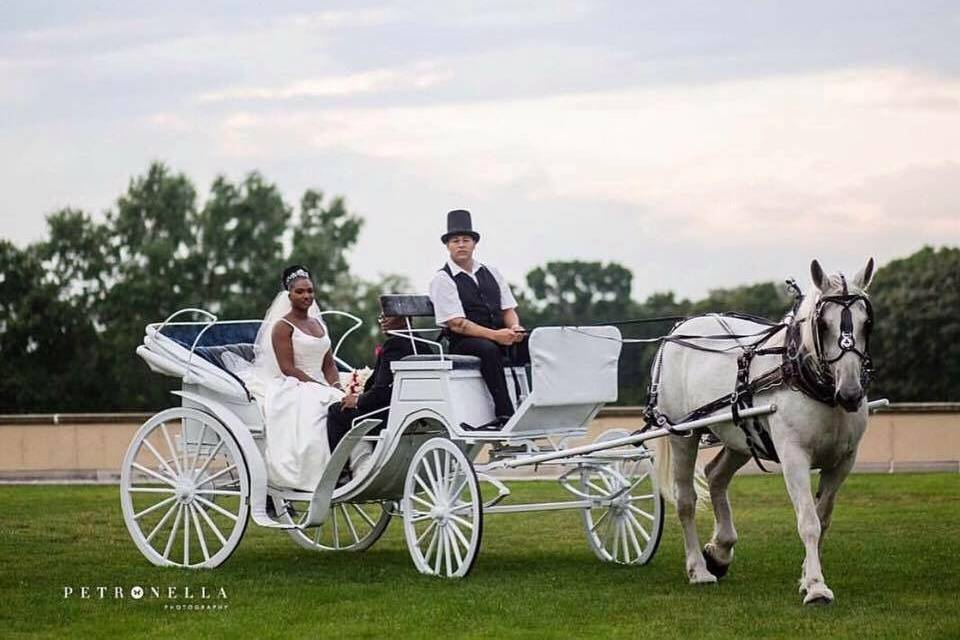 Bridal ride