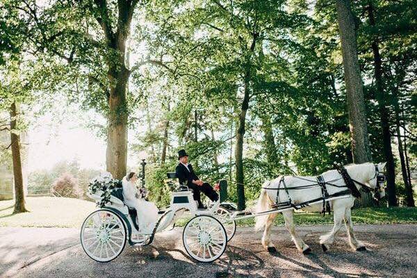 Wedding carriage