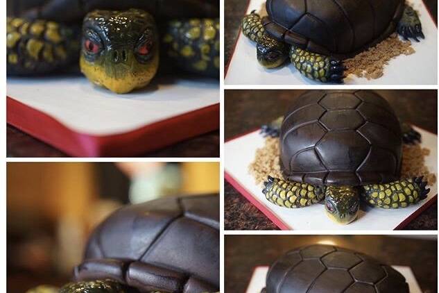 3D-sculpted box turtle cake