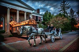 Destiny Horse and Carriage