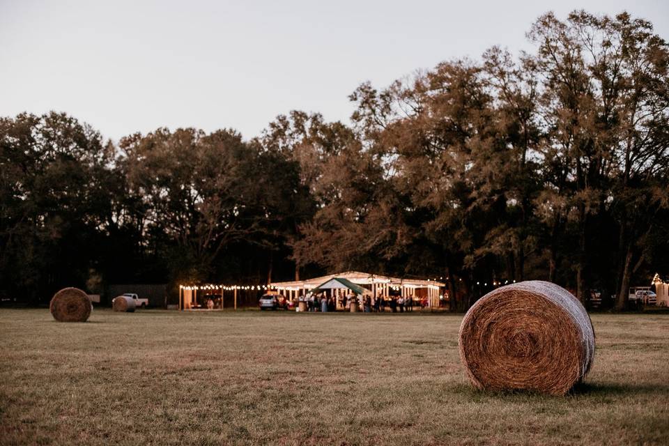 White Barn