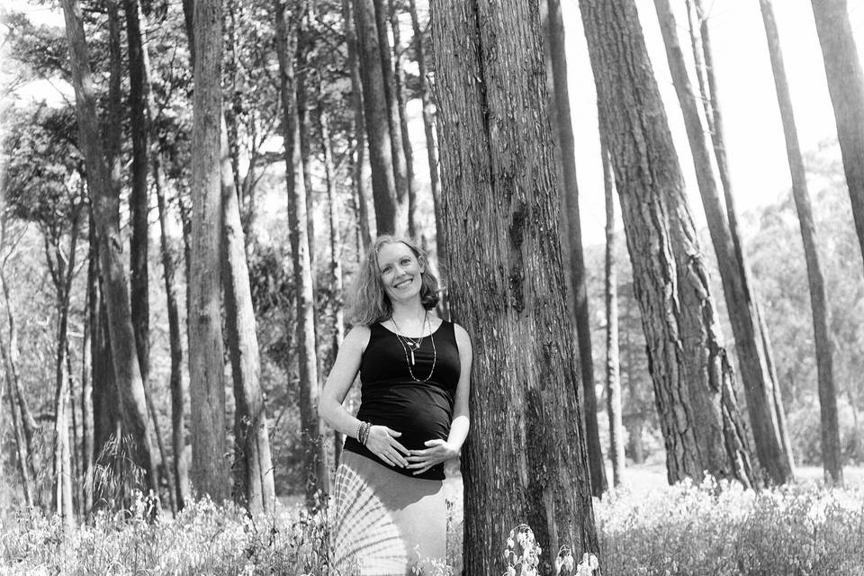 Baby Bump Trees