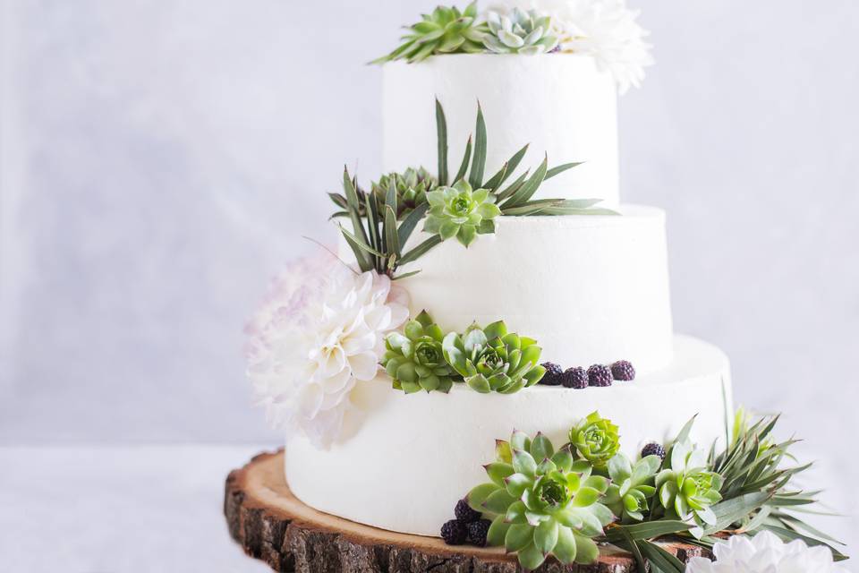 A succulent blackberry cake