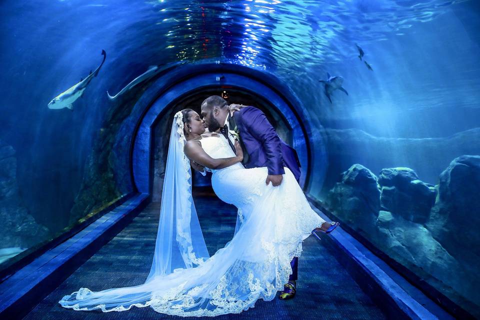 Kiss in the shark tunnel