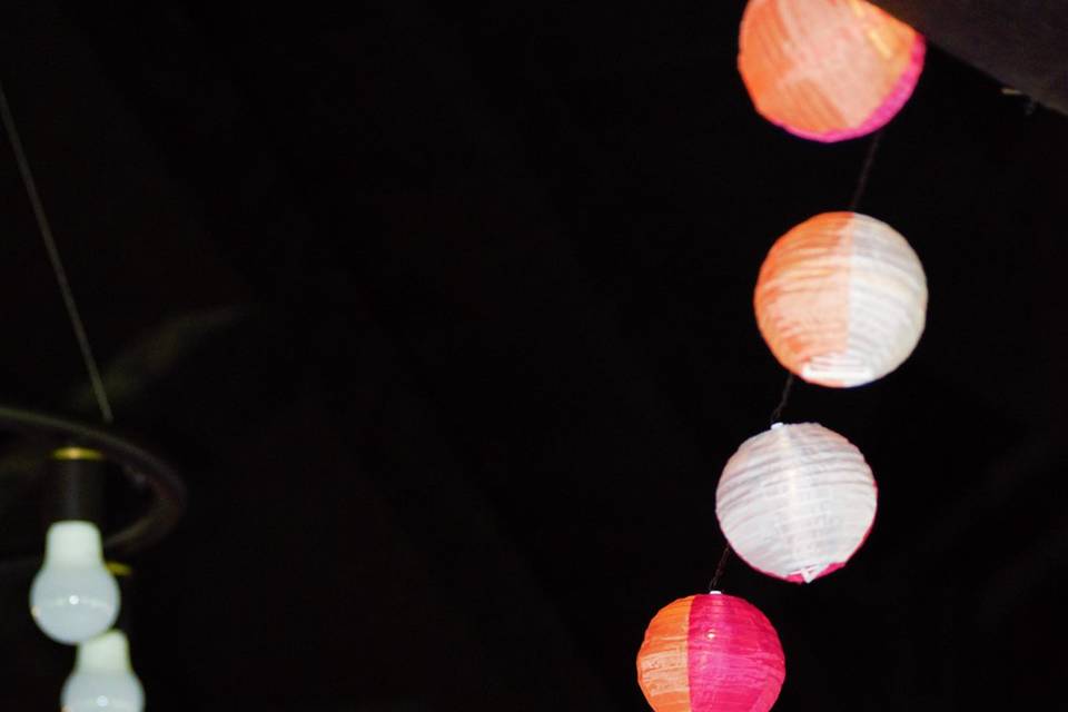 The lights