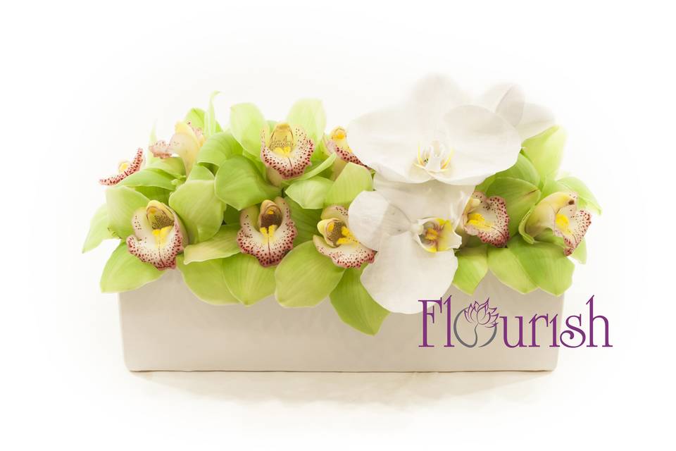 Chartreuse Muse, Flourish Collection