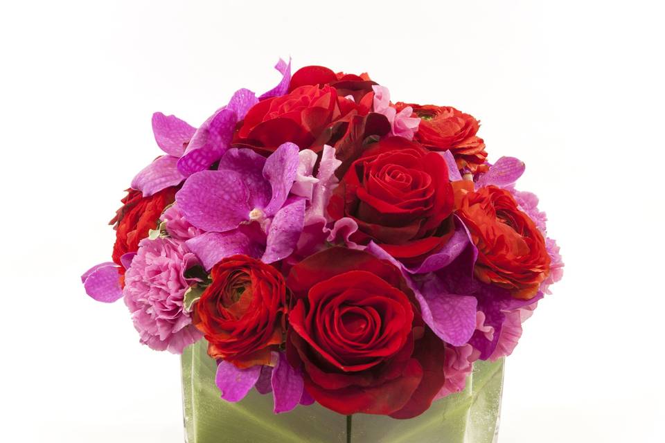 Flourishing Romance, Flourish Collection
