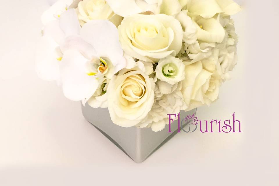 Plush Blanc, Flourish Collection