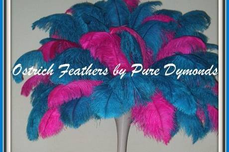 Ostrich Feathers by Pure Dymonds