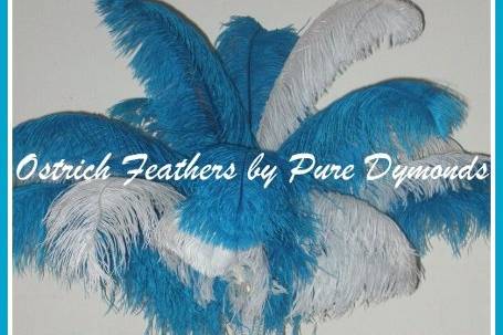 Ostrich Feathers by Pure Dymonds