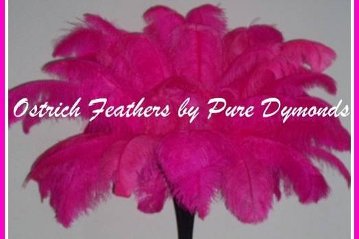 Ostrich Feathers by Pure Dymonds