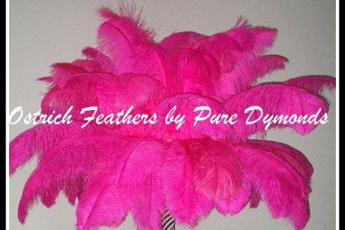 Ostrich Feathers by Pure Dymonds