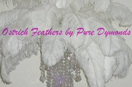 Ostrich Feathers by Pure Dymonds