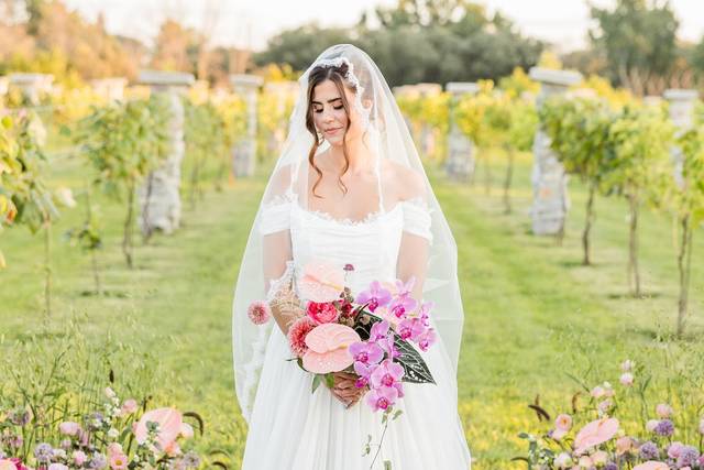 Vineyard dream wedding, WI
