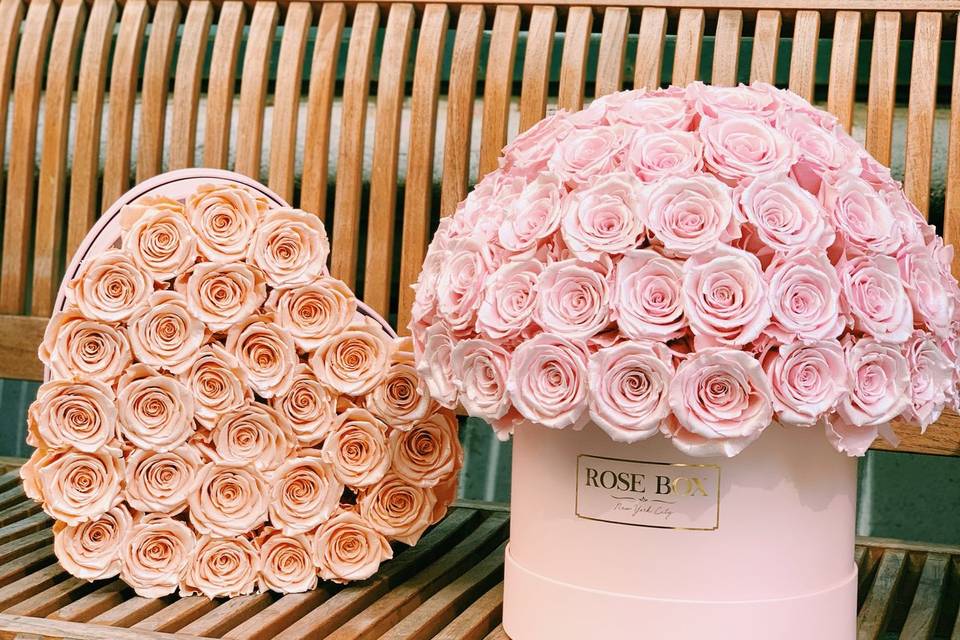 Rose box nyc