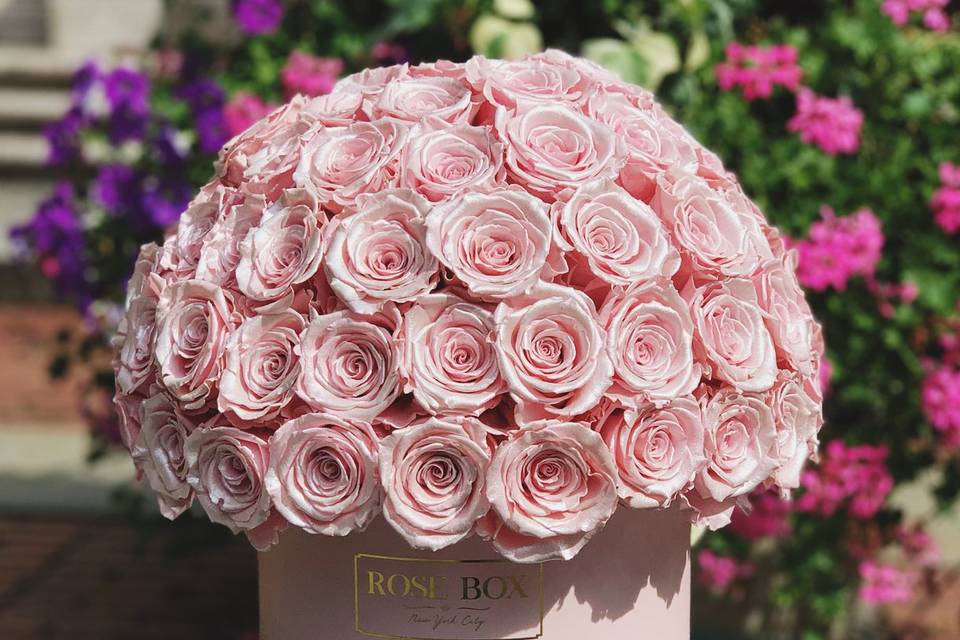 Rose box nyc