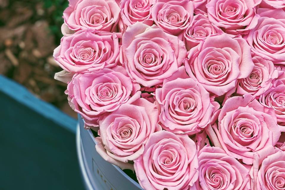Rose box nyc