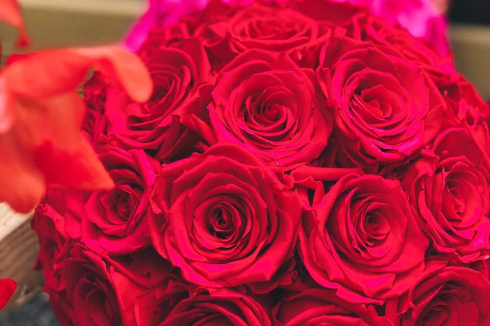 Rose box nyc