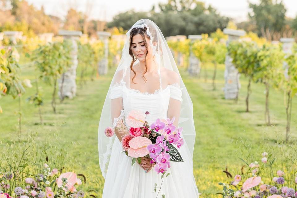 Vineyard dream wedding, WI