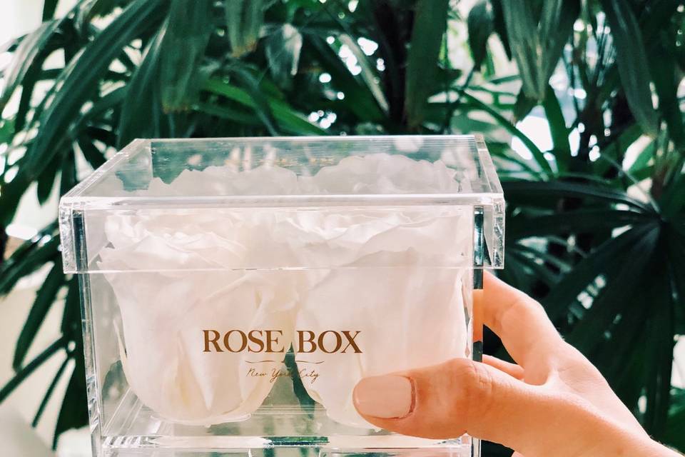 Rose box nyc