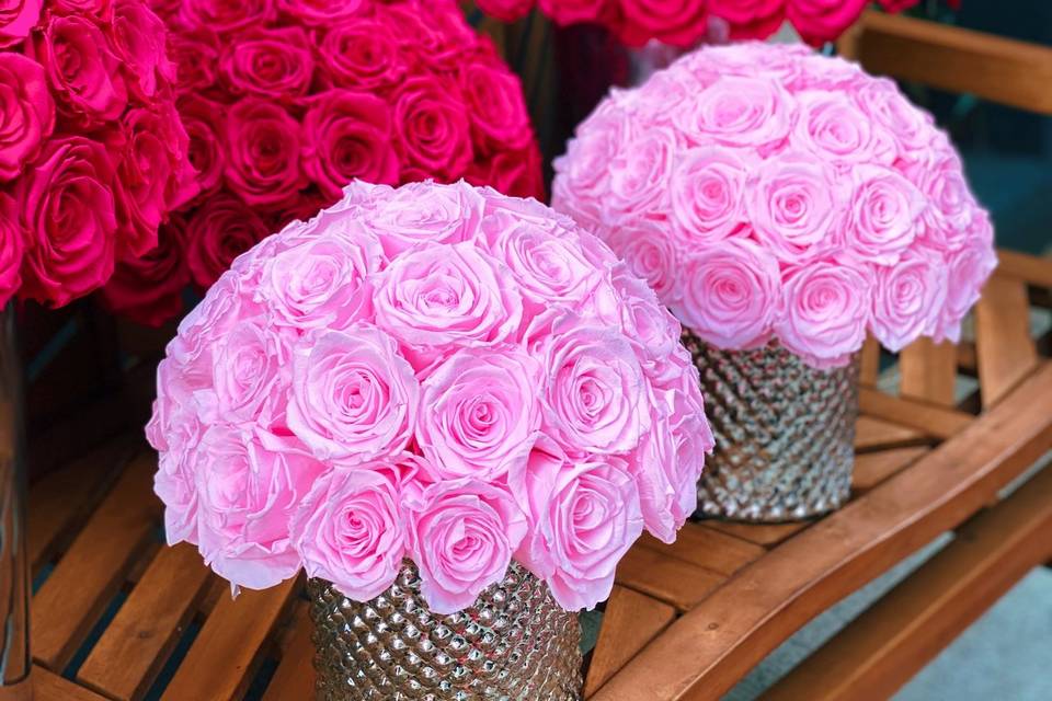 Light pink and dark pink