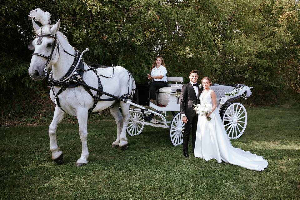 Horse carriage bride arrival